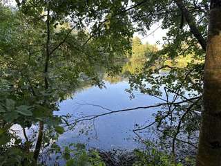 Bois, forêt et étang
