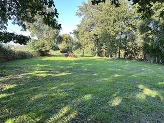 Bois, forêt et étang