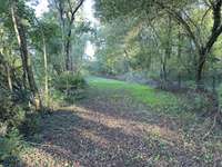 Bois, forêt et étang Bois, forêt et étang