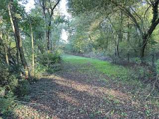 Bois, forêt et étang