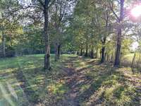 Bois, forêt et étang Bois, forêt et étang