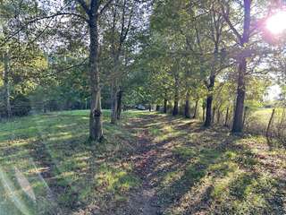 Bois, forêt et étang