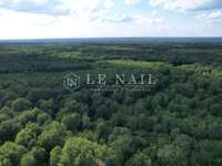 Bois, forêt et étang Bois, forêt et étang
