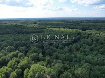 Bois, forêt et étang Bois, forêt et étang