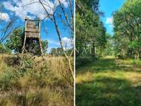 Bois, forêt et étang Bois, forêt et étang