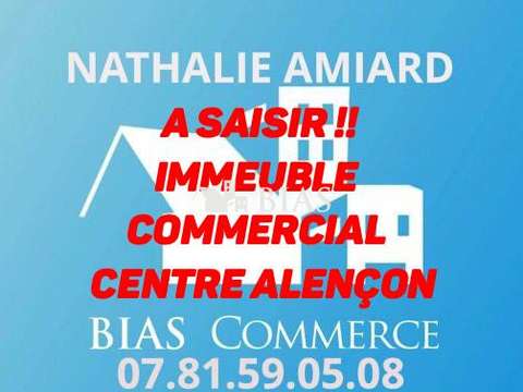 Bureaux et commerces Alençon Villeneuve - Lancrel - Croix Mercier - Eco 61