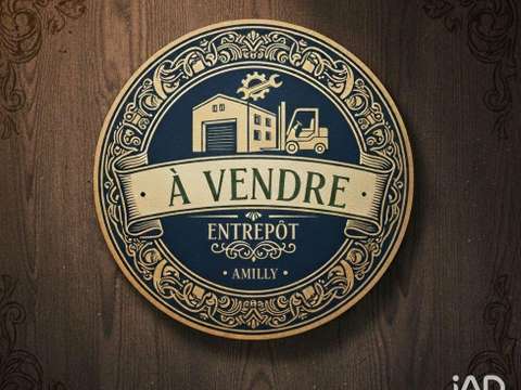 Bureaux et commerces Amilly 45