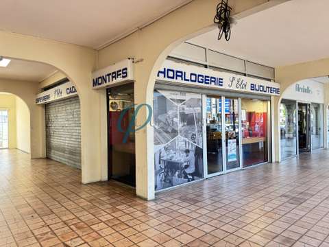 Bureaux et commerces Ancenis 44