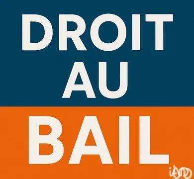 Bureaux et commerces Angers Centre 49