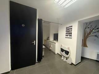 Bureaux et commerces 6 pièces