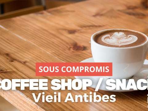 Bureaux et commerces Antibes 06