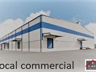 Bureaux et commerces 15 pièces