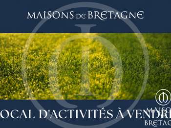 Vente Bureaux et commerces 150 m&sup2;Bannalec