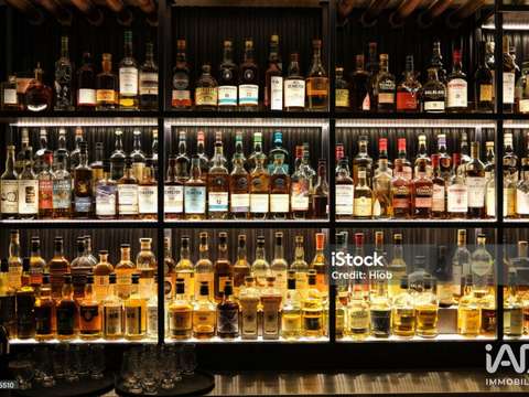 Bureaux et commerces Bayonne 64