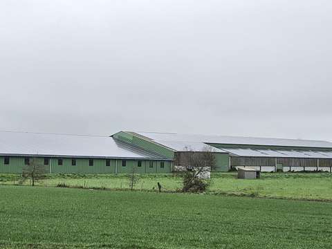 Bureaux et commerces Beaufou 85