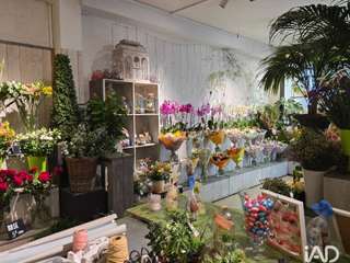 Bureaux et commerces