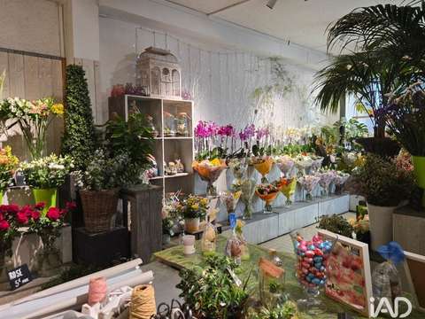 Bureaux et commerces