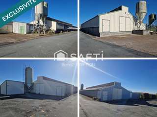 Bureaux et commerces 9 pièces