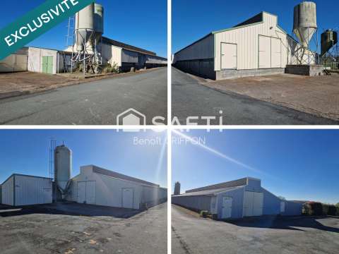 Bureaux et commerces 9 pièces Boussay 44