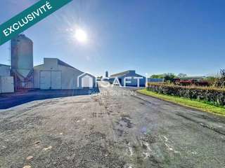 Bureaux et commerces 9 pièces