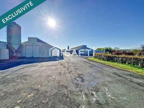 Bureaux et commerces 9 pièces