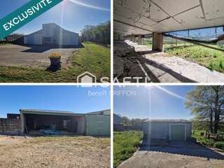 Bureaux et commerces 9 pièces