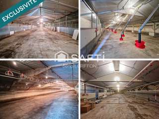 Bureaux et commerces 9 pièces