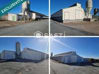 Bureaux et commerces 9 pièces