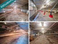 Bureaux et commerces 9 pièces