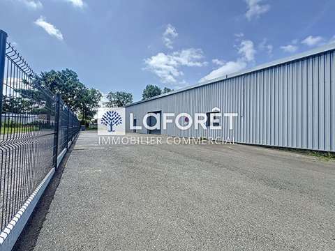 Bureaux et commerces Bressuire 79