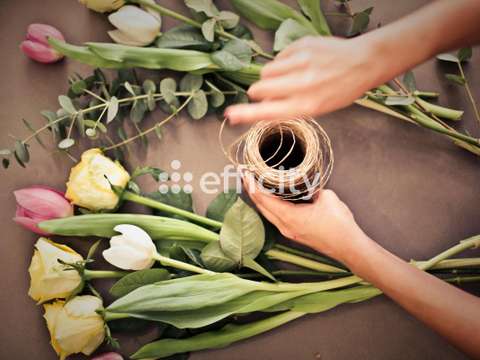 Bureaux et commerces Brest Lambezellec 29