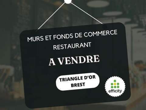 Bureaux et commerces Brest Siam 29