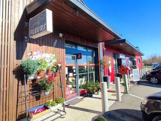 Bureaux et commerces