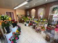 Bureaux et commerces 3 pièces