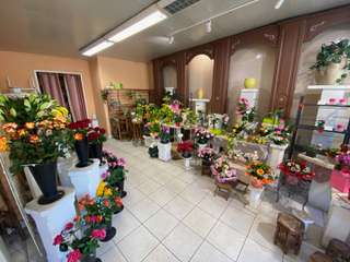 Bureaux et commerces 3 pièces