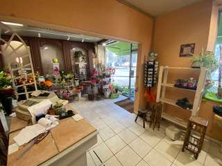 Bureaux et commerces 3 pièces