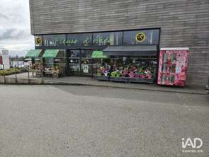 Vente Bureaux et commerces 172 m&sup2;Carhaix-Plouguer