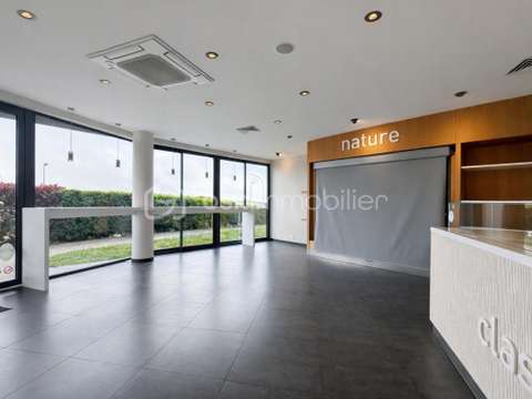 Bureaux et commerces 6 pièces