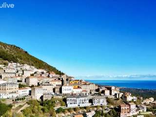 Bureaux et commerces 8 pièces