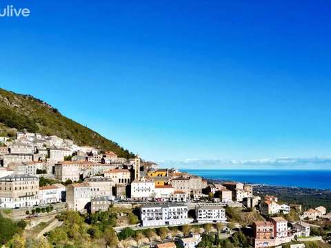 Bureaux et commerces 8 pièces Cervione 2B