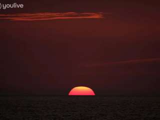 Bureaux et commerces 9 pièces