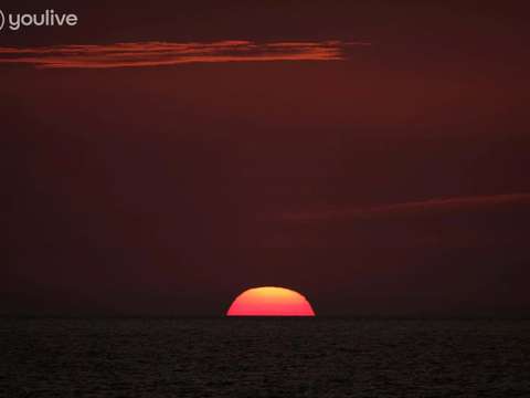 Bureaux et commerces 9 pièces
