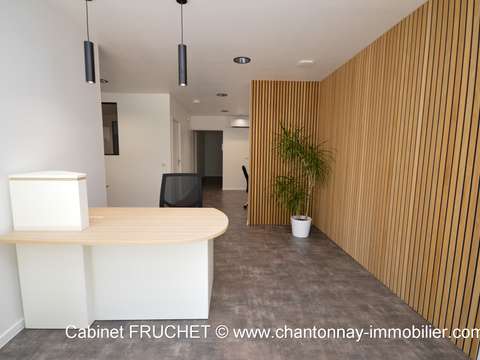 Bureaux et commerces Chantonnay 85