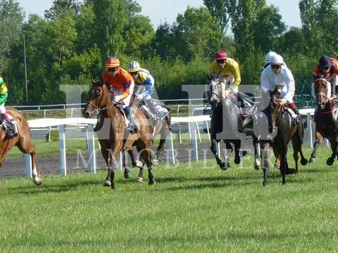 Bureaux et commerces Château-Gontier 53