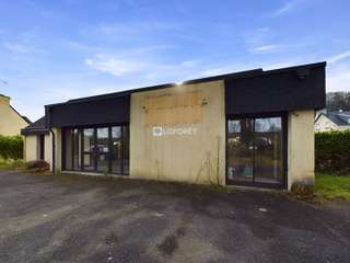 Bureaux et commerces 5 pièces