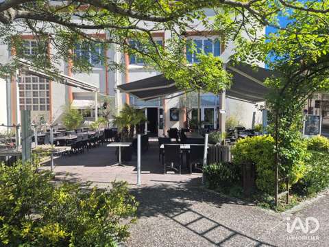 Bureaux et commerces Châteauneuf-sur-Loire 45