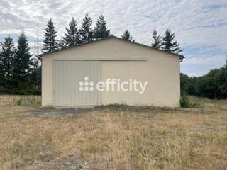 Bureaux et commerces 4 pièces