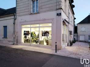 Vente Bureaux et commerces 40 m&sup2;Chouzé-sur-Loire