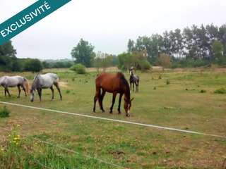 Bureaux et commerces 2 pièces