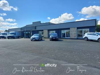 Bureaux et commerces 7 pièces